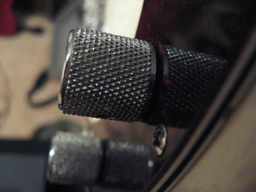 MacroBass006.jpg