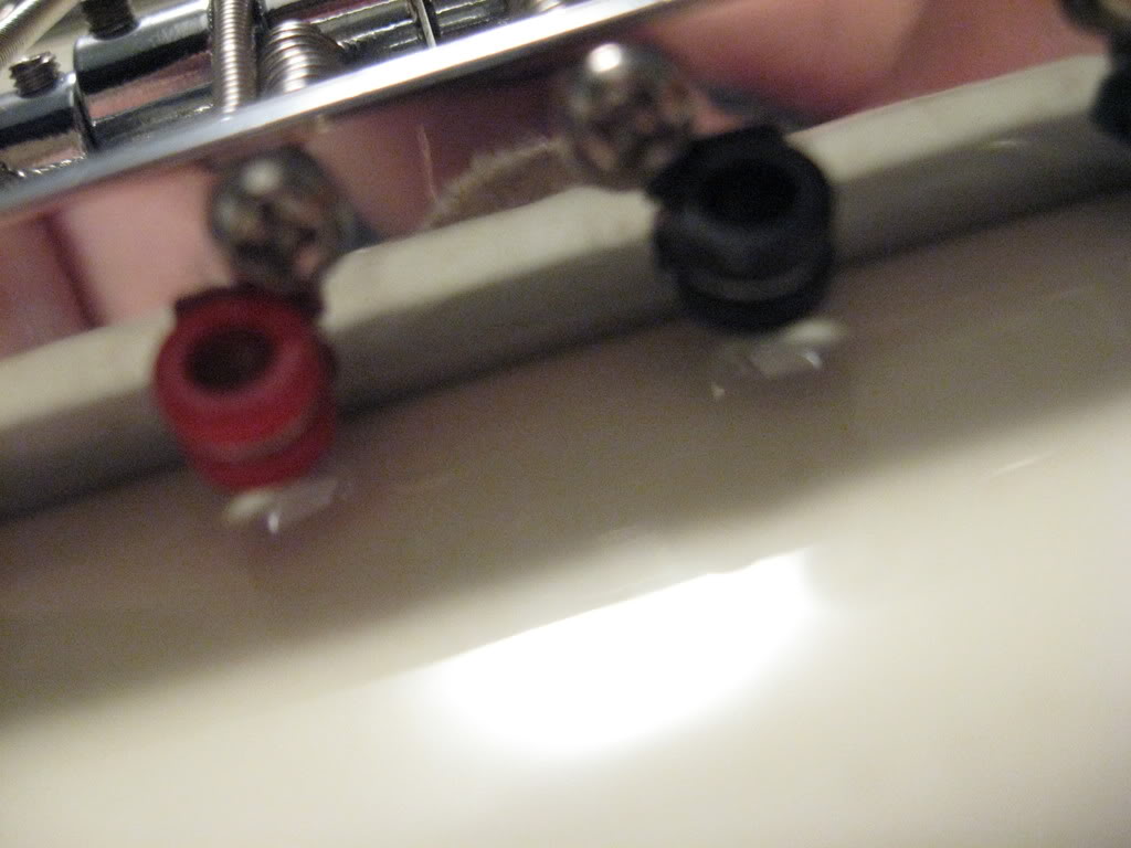MacroBass009.jpg