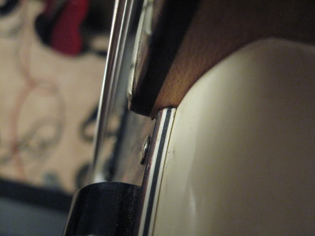 MacroBass010.jpg