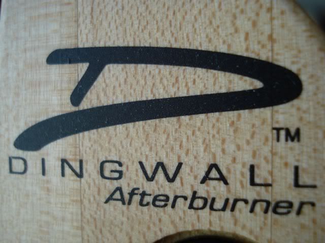 MacroDingwallLogo.jpg