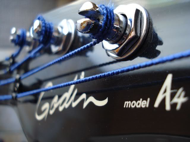 MacroGodinHeadstock.jpg