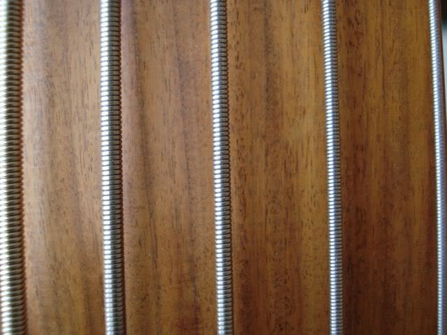 MacroSR5FretlessBoard.jpg