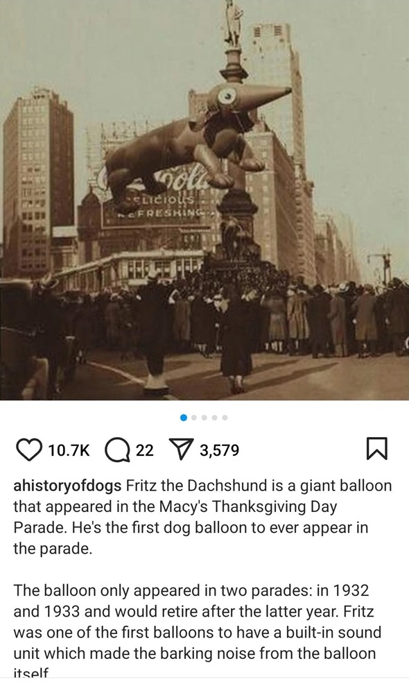 macys dog balloon.jpg