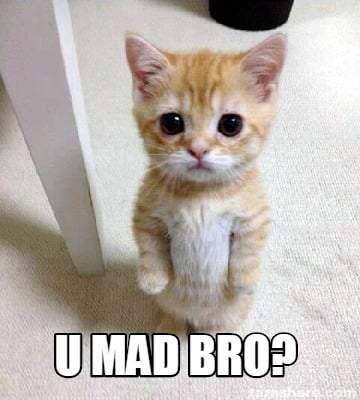 mad bro.jpg