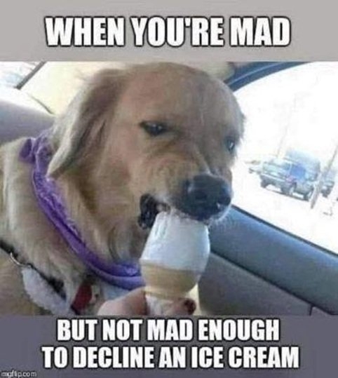 mad dog.jpg