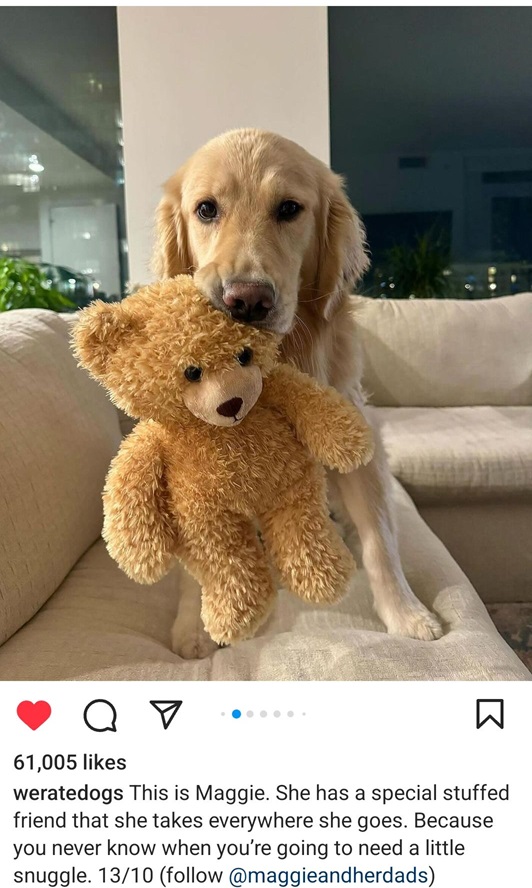 maggie dog.jpg