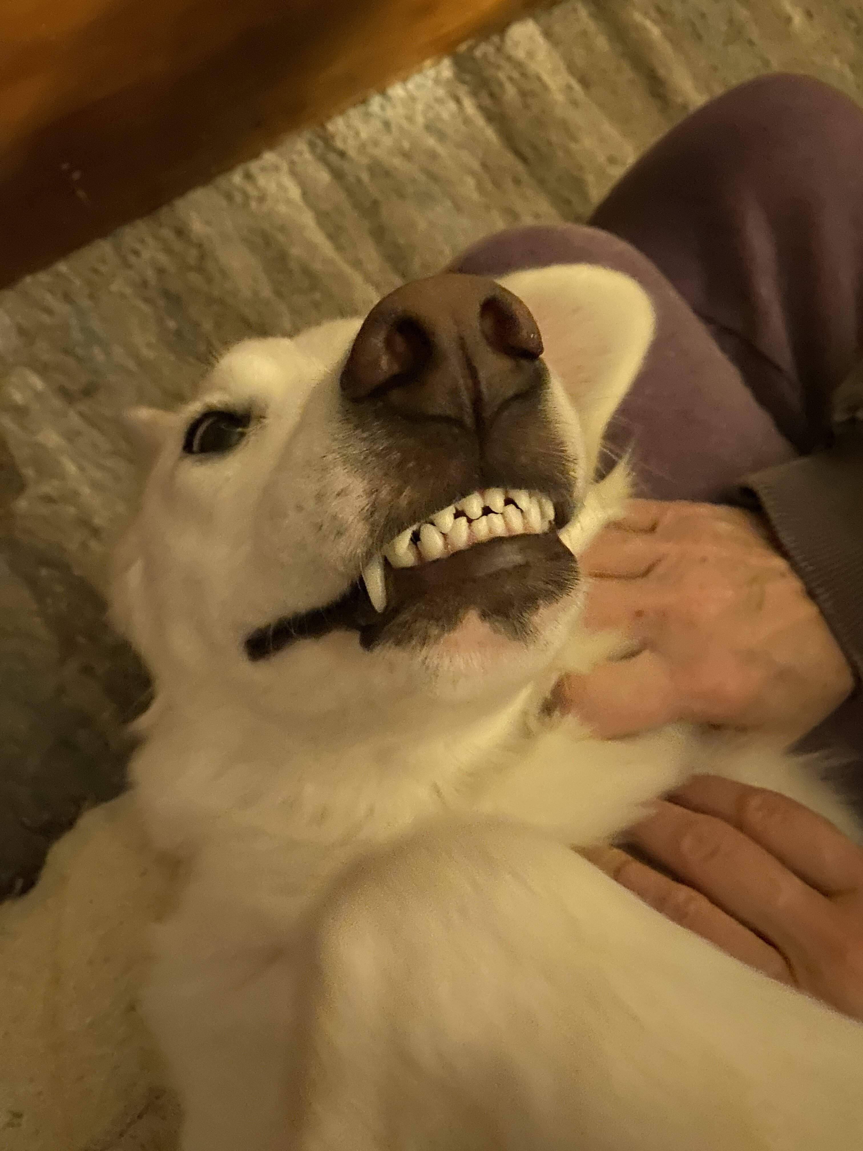 maggie smilin.JPG