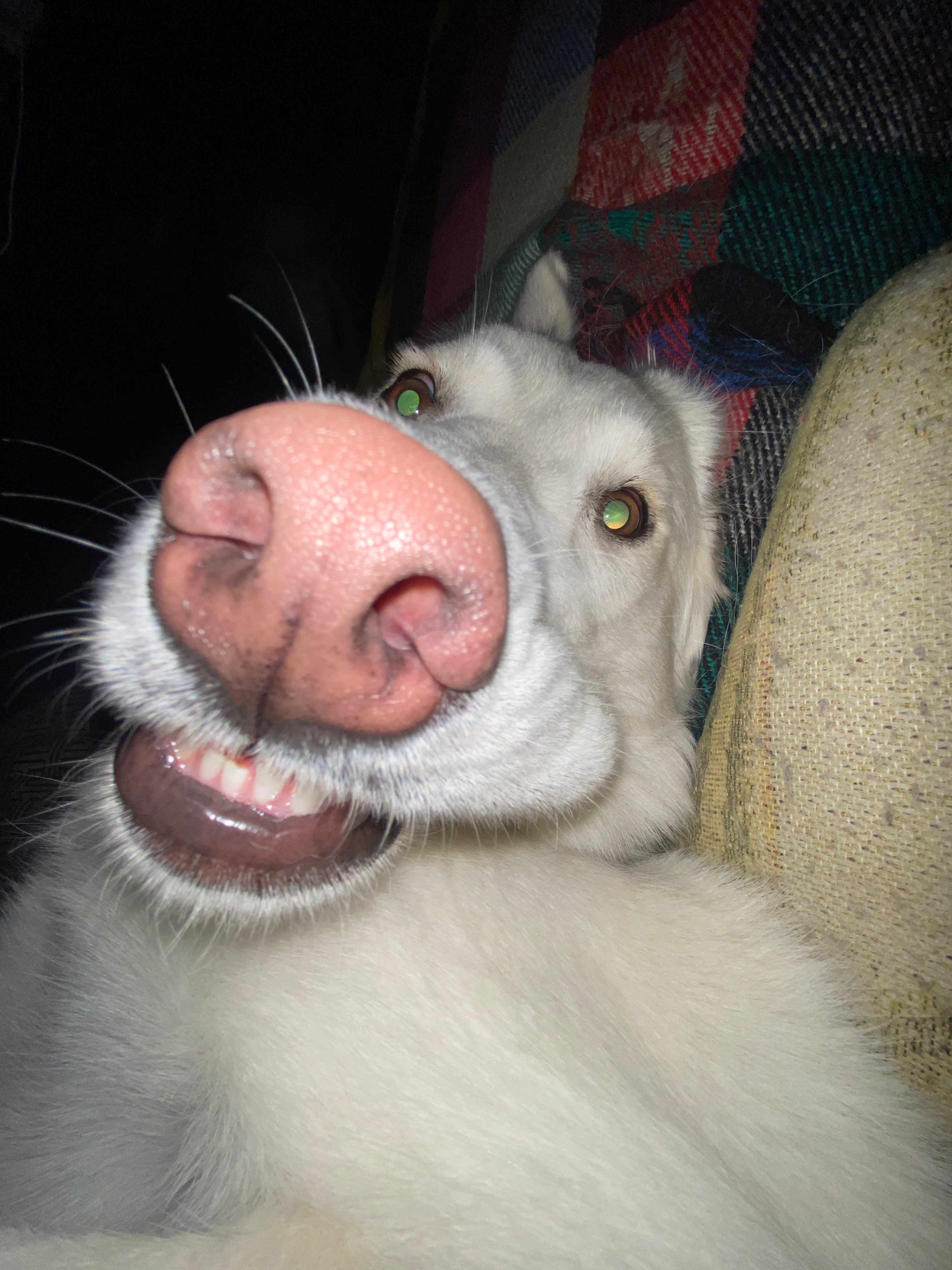 maggie smiling.jpg