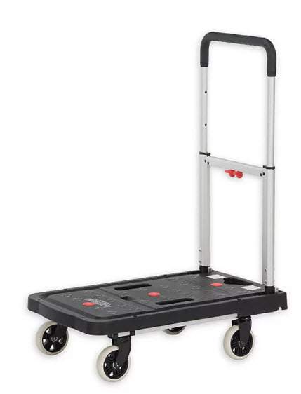 magna cart.jpg