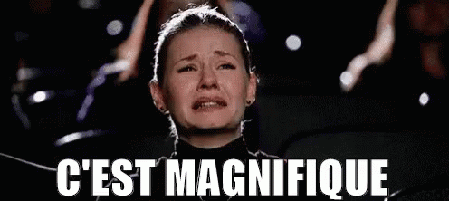 Magnifique.gif