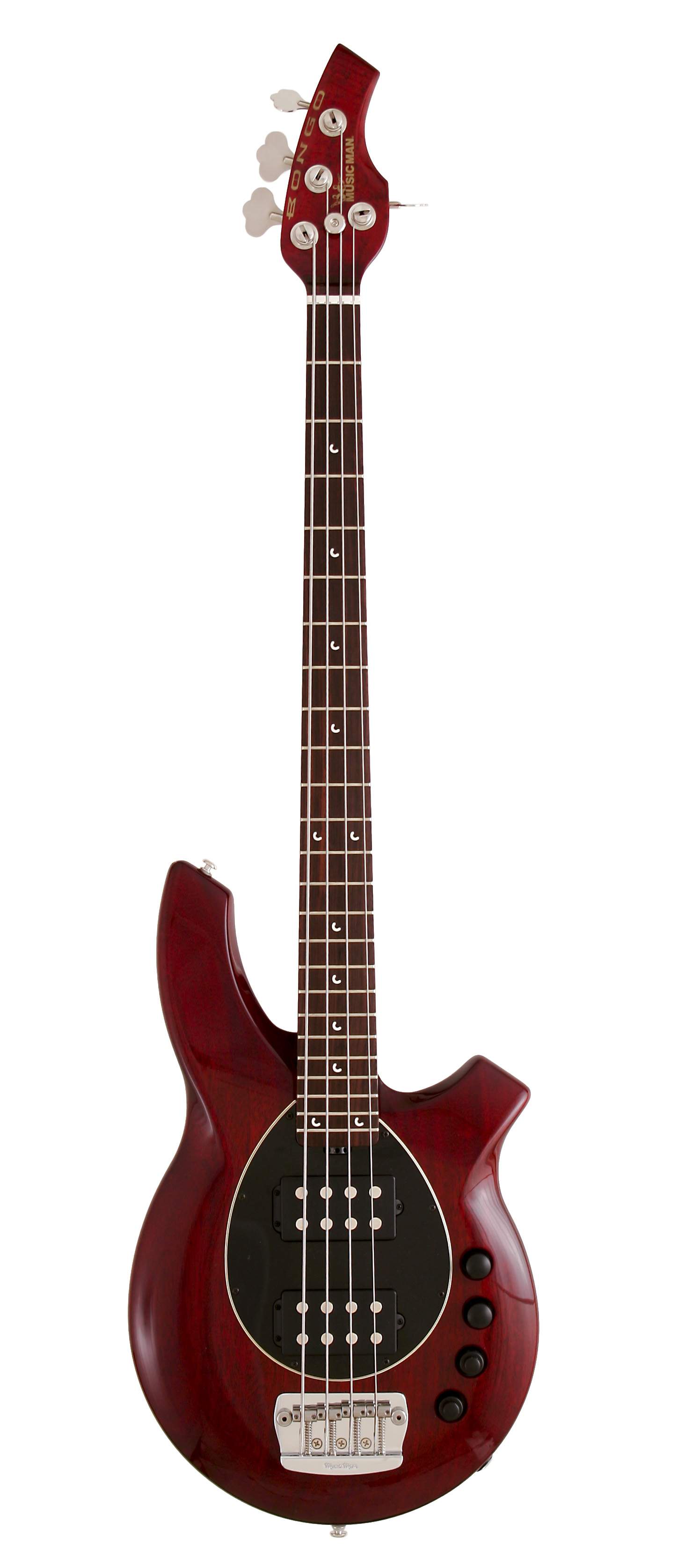 Mahogany Bongo.jpg