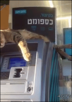 main-811830341.php.gif