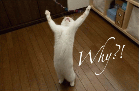 main-qimg-f3cdf3c5c3911fcb2876ac78a5b6e95e.gif