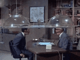 MajesticDeadlyDrongo-max-1mb.gif
