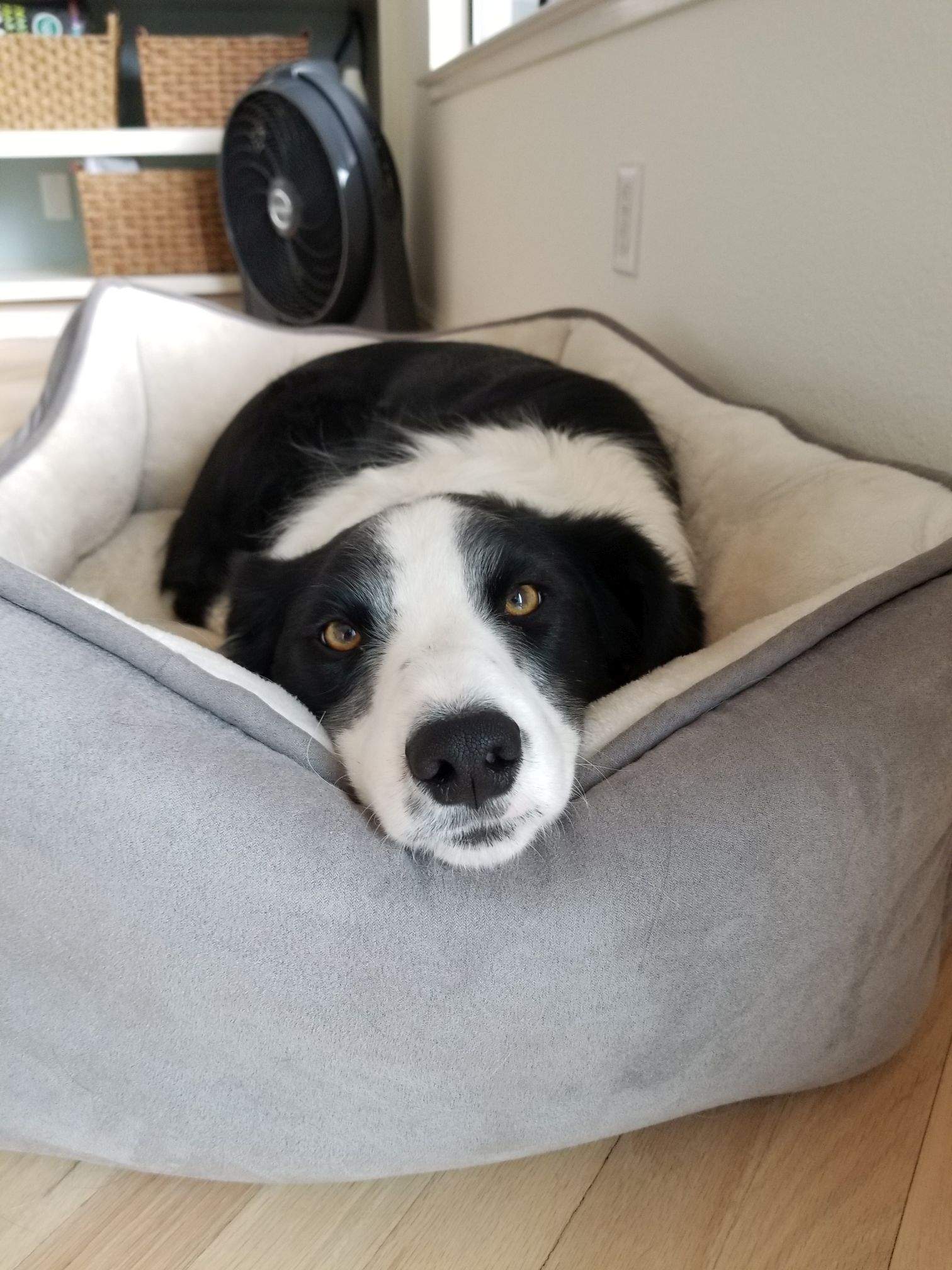 Major chillin.jpg