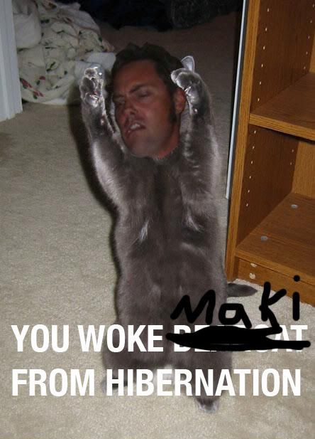 makicat.jpg