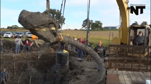 mammoth.gif