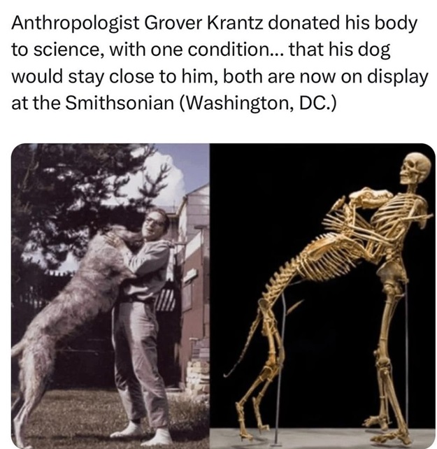 man dog.jpg