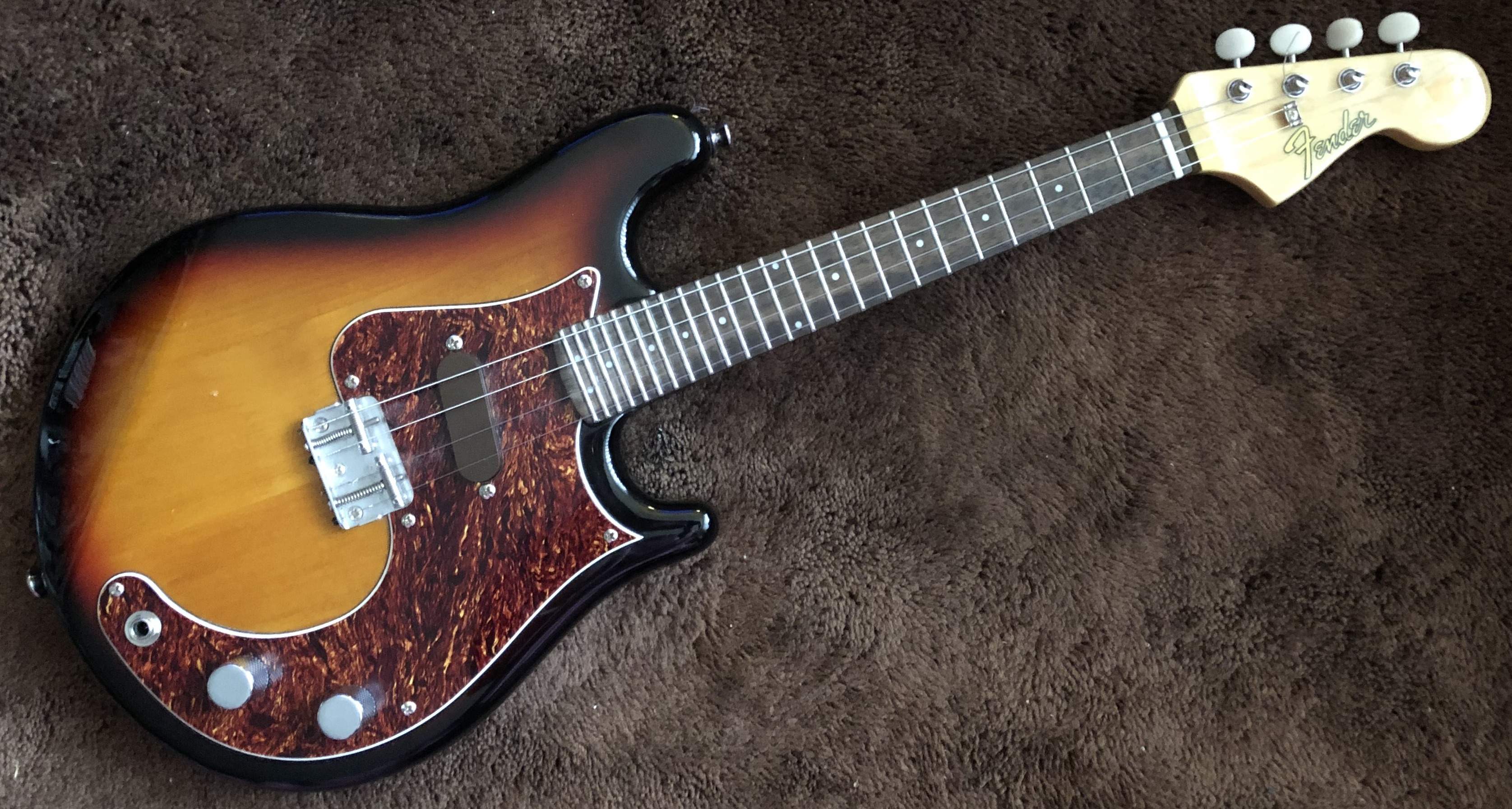 mandocaster.jpg