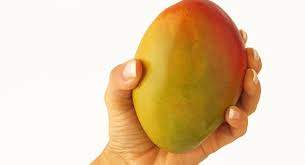 Mango.jpg