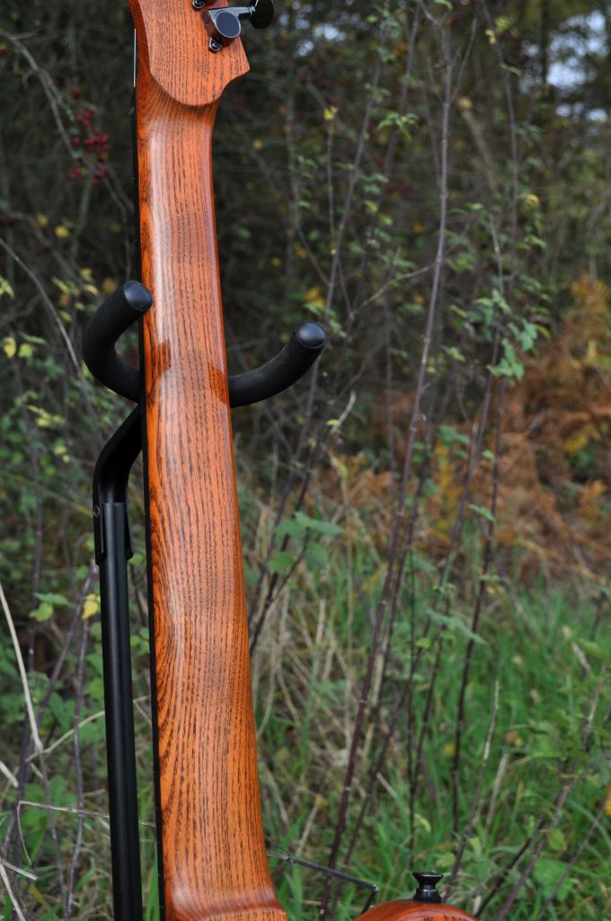 MantonCustomsEchoGuitarTeleInspired6Main.jpg