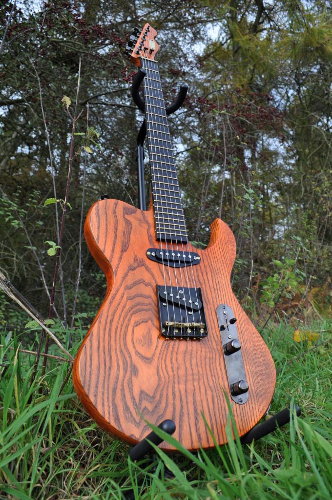MantonCustomsEchoGuitarTeleInspired9Main.jpg