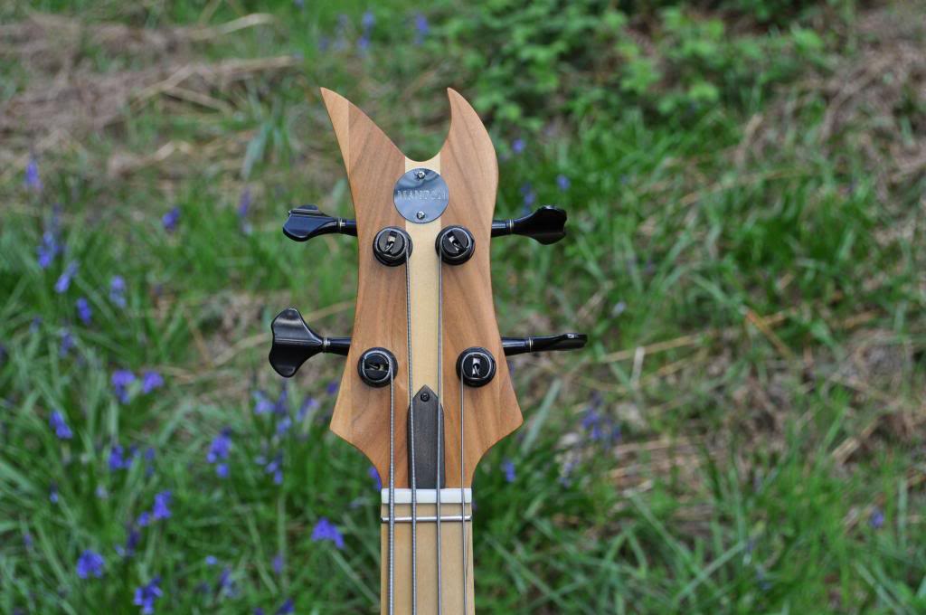 MantonCustomsSiriusBass12.jpg
