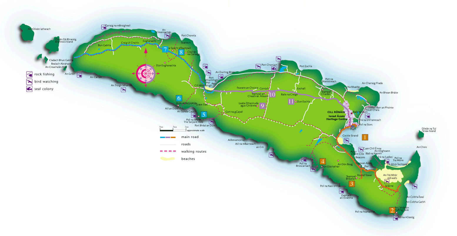 map_biginis.jpg