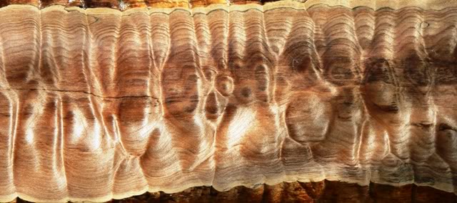 MapleAcrylicFingerboard_2.jpg
