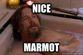 marmot.jpg