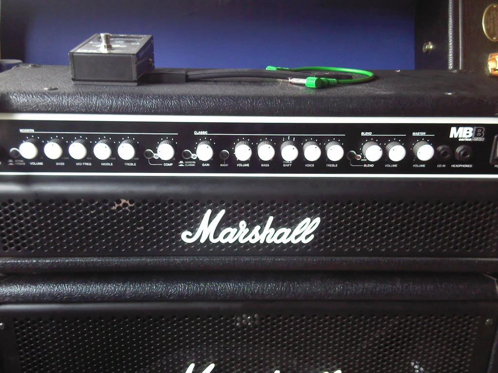 MarshallHead2.jpg