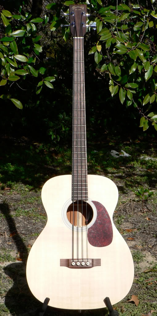 MartinB-1.jpg