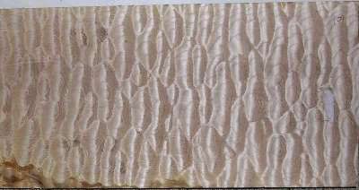 master_quilt2.jpg