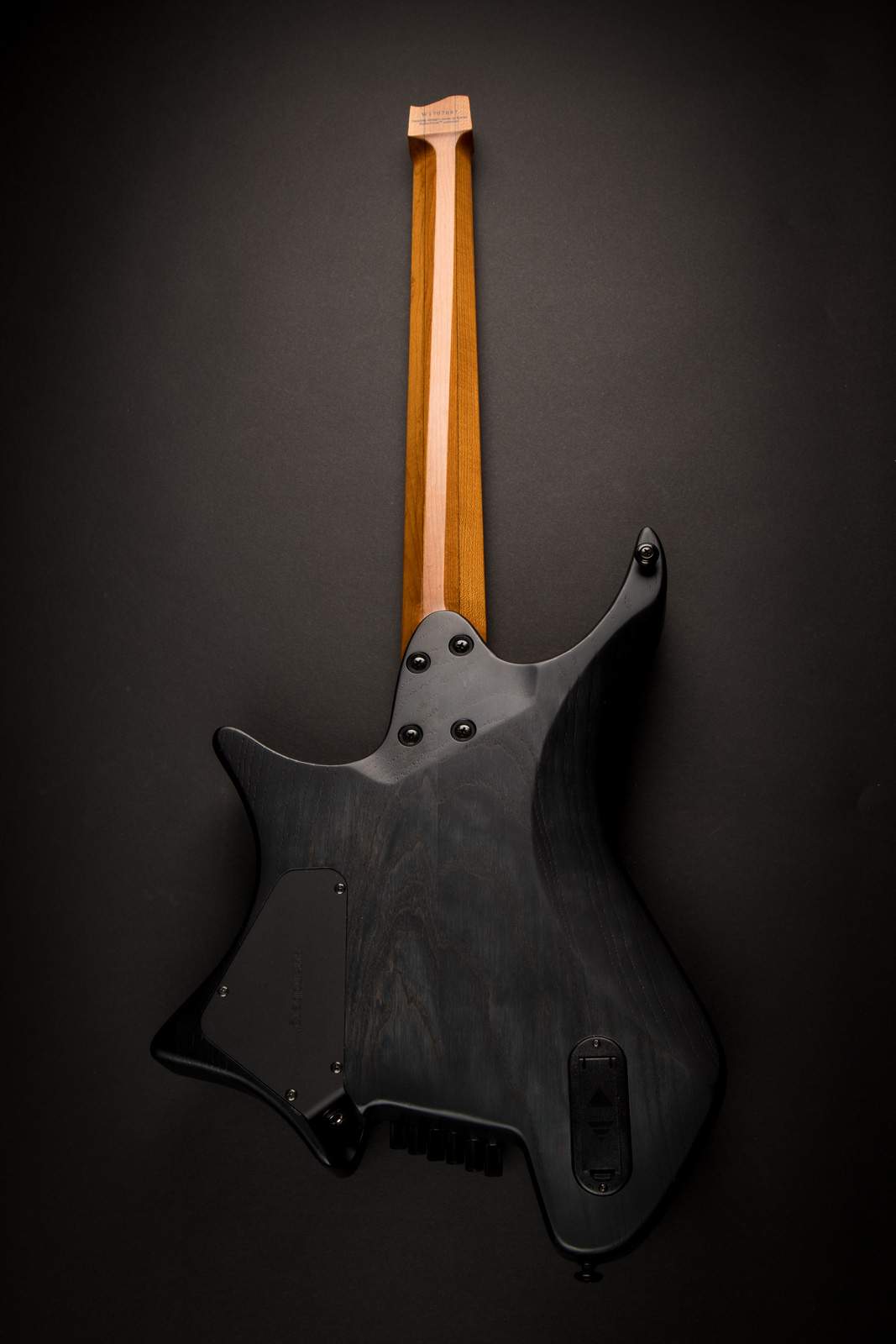 masvidalien_endurneck_2.jpg