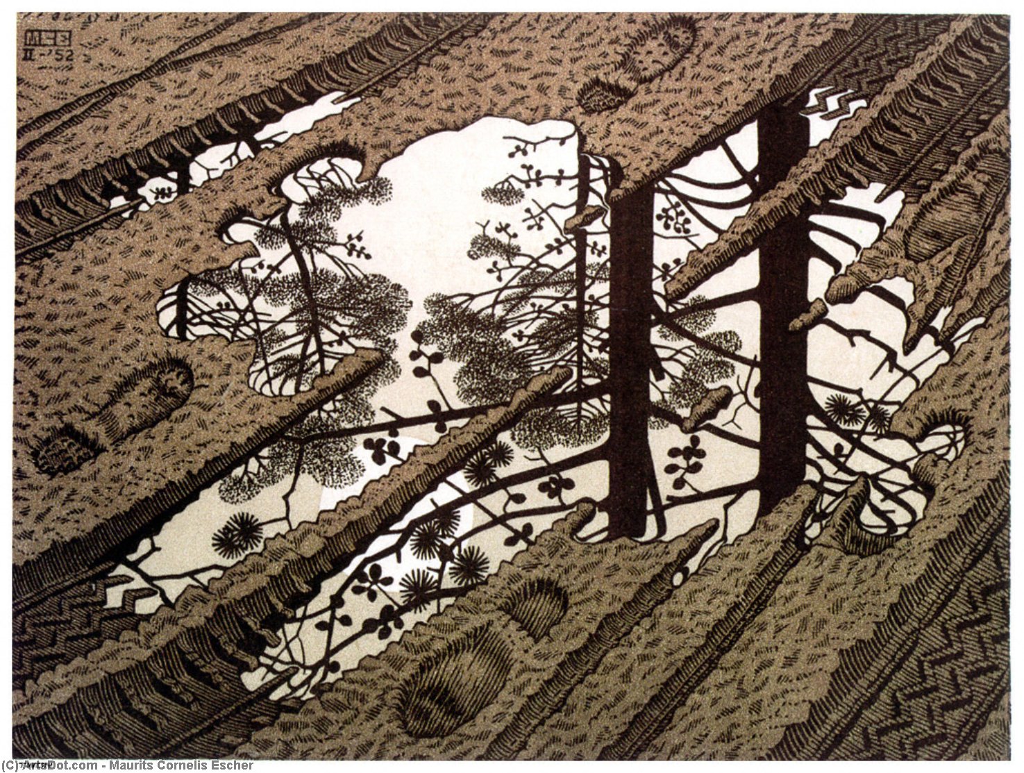 Maurits_cornelis_escher-puddle.jpg