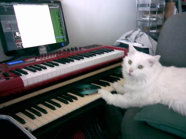 MaxiKeys.jpg