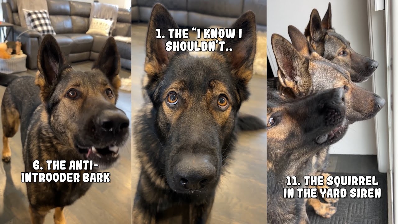 maxresdefault-600875845.jpg