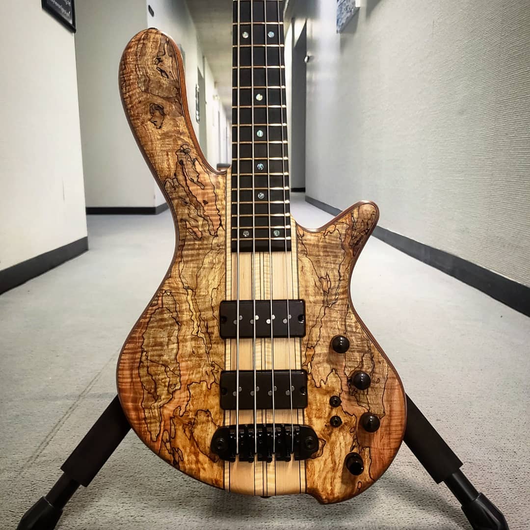 May_SpaltedMaple.jpeg
