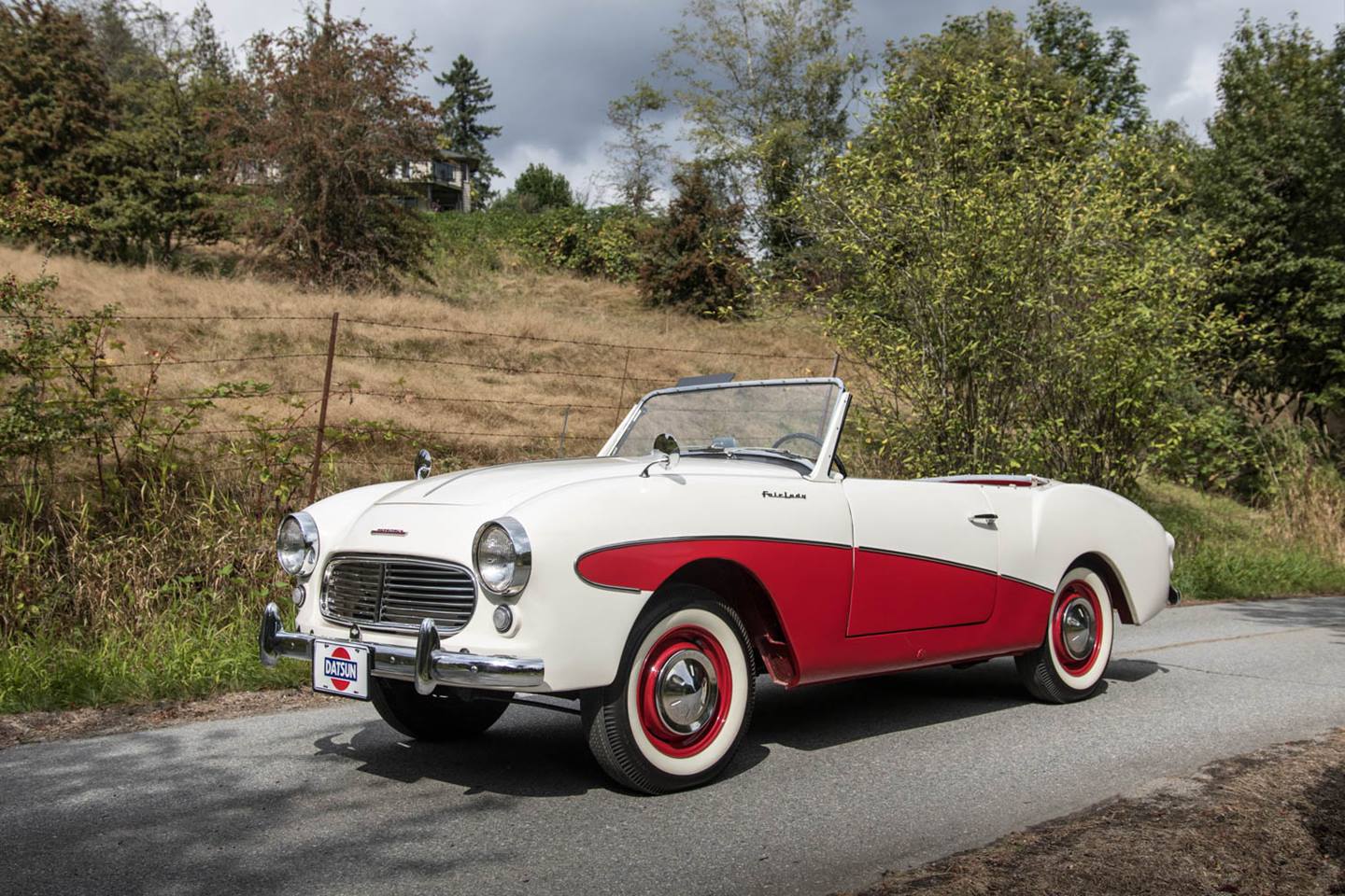 mcaleer_fairlady(113).jpg