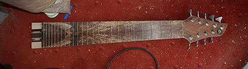 MD9neckandheadstock.jpg