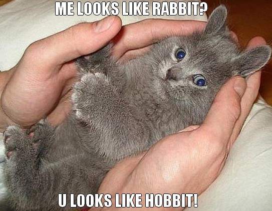 Me-looks-like-rabbit.jpg