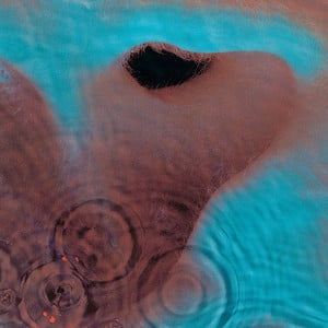 MeddleCover.jpg