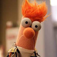 meep.jpg