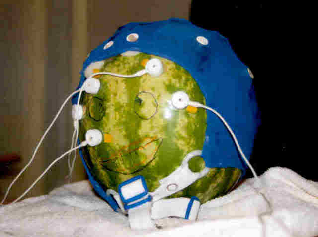 melon.jpg