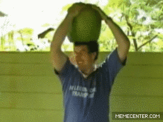 melonman_o_1741137.gif