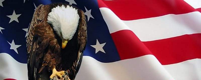 Memorial-Day-Flag-bald-eagle.jpg