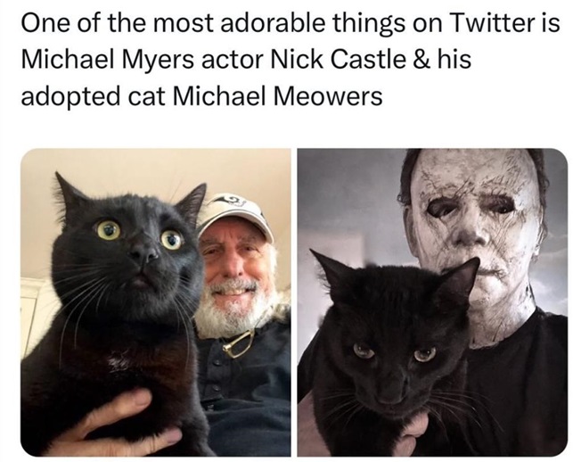 meowers.jpg