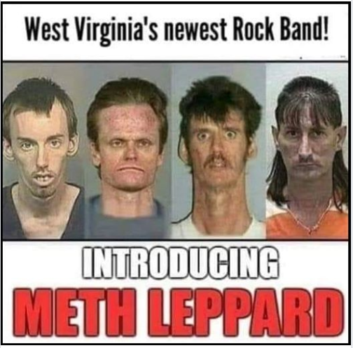 methLeppard.png