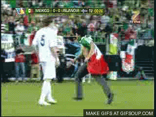 mexico-fan-gets-tackled-o.gif