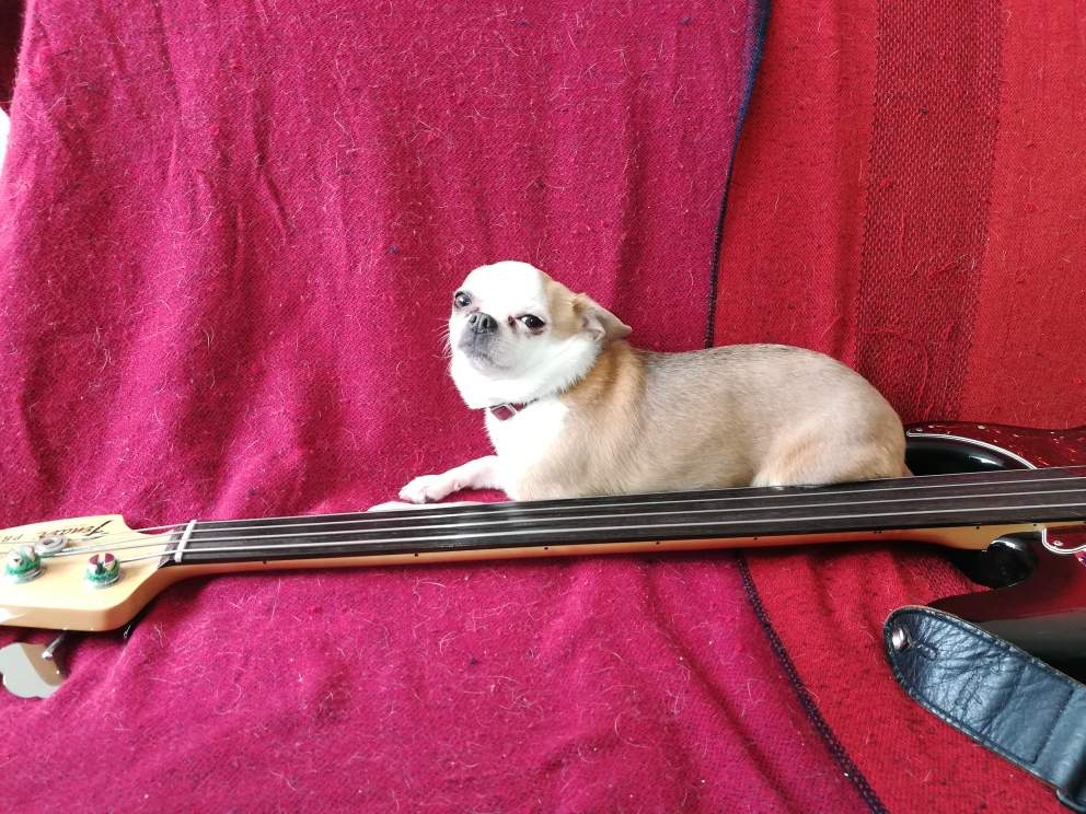 mia 3.jpg